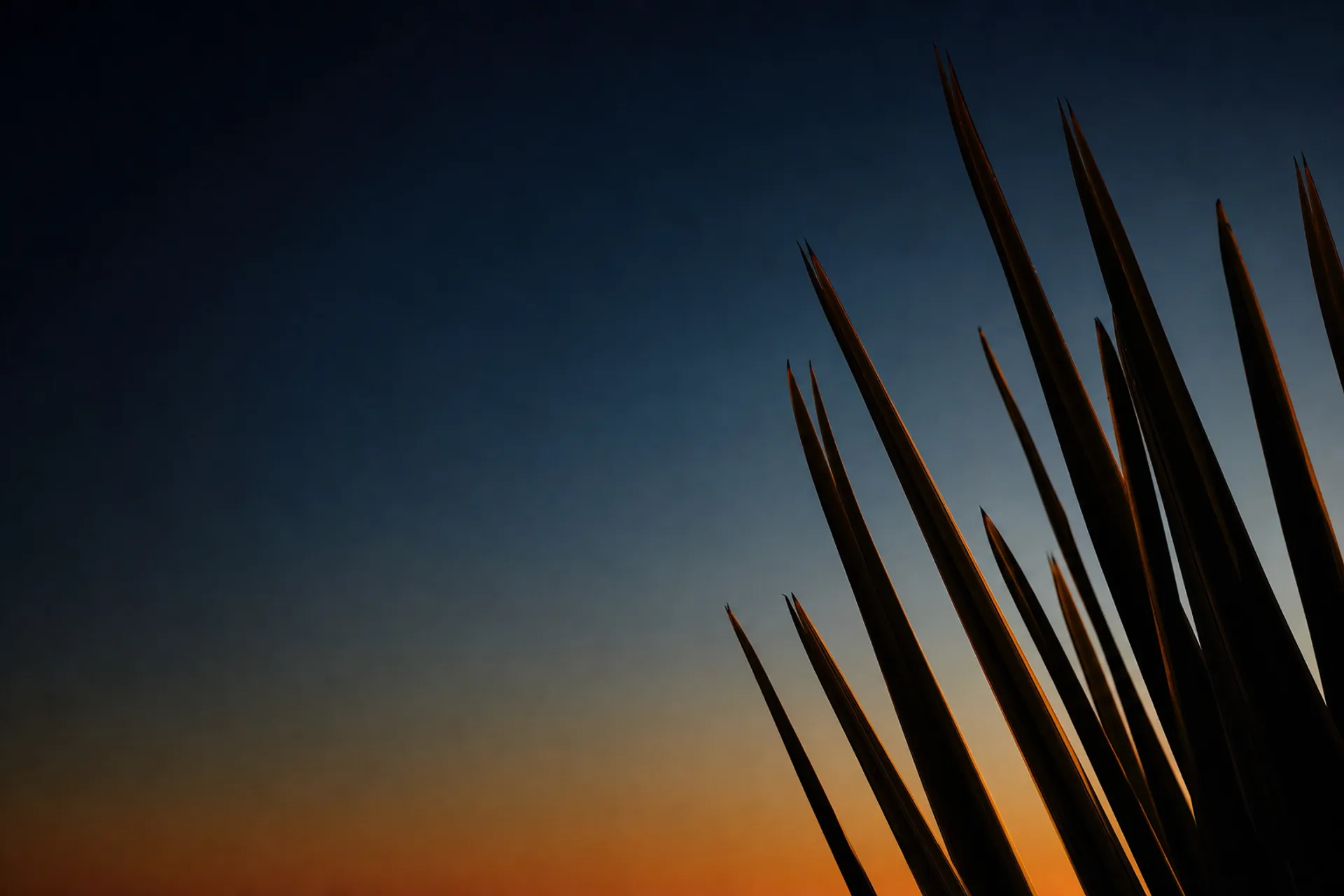 Harakeke blades silhouetted against a deep dusk sky, their edges catching the last light.